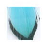 Gold/Turquoise