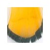 Gold/Yellow