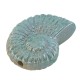 Ceramic Slider Shell w/ Enamel 33x42mm (Ø2.8mm)