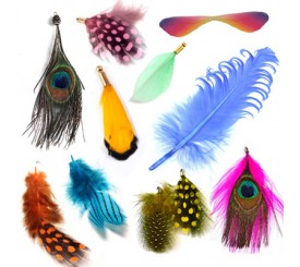 FEATHERS