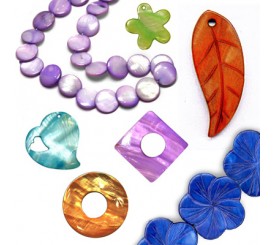 FRESH WATER SHELLS