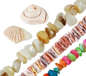 SHELL BEAD